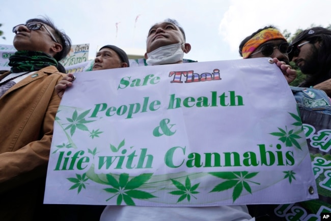 Cannabis supporters gather during a demonstration outside the Government House in Bangkok, Thailand, Nov. 22, 2022.