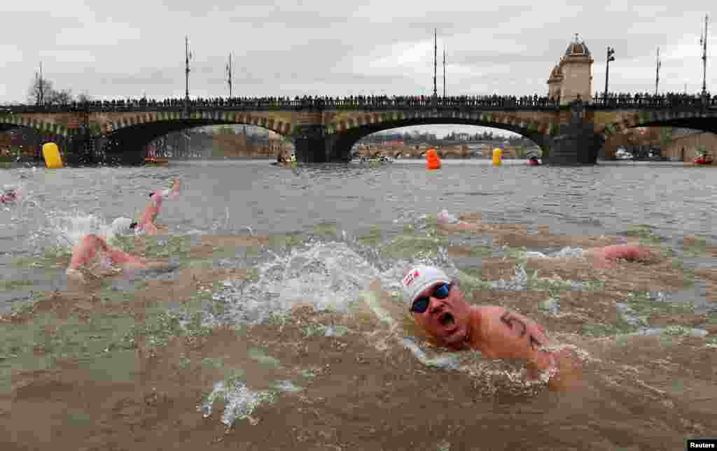 Nadadores participan en la competición anual navideña de natación de invierno en el río Moldava en Praga, República Checa. REUTERS/David W Cerny.