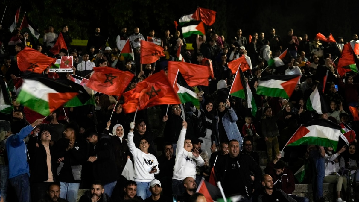 Qatar World Cup 2022: Why are there so many Palestinian flags?