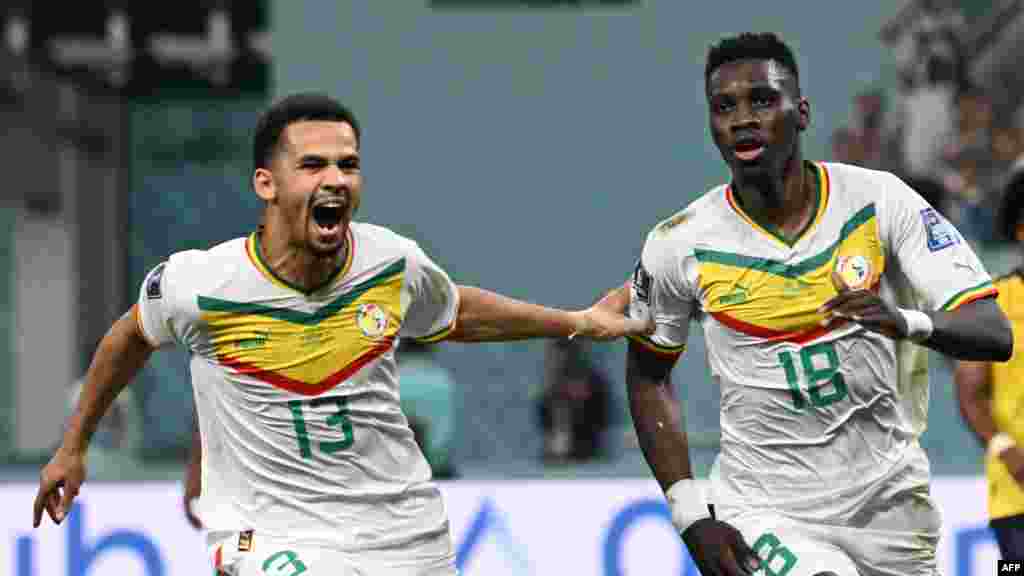 Attaquant ya Sénégal #18 Ismaila Sarr (D) azali kosepela na moninga wa ye #13 Iliman Ndiaye (G) nsima na kotia mongete na match na Equateur na groupe A ya Mondial Qatar 2022 na stade Khalifa, Doha, 29 novembre 2022. (Photo OZAN KOSE / AFP)