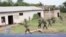 Jami'an Tsaron Ghana Sun Gudanar Da Atisayen Zama Cikin Shirin Ko-Ta-Kwana Game Da Barazanar Ta'addanci