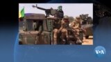🇲🇱Mali sɔrɔdasi 12 ni kɔ fagara ni jihadikɛlaw ka kɛlɛw la jamana cɛmancɛ la