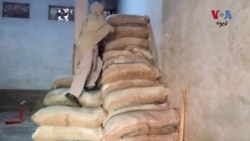 دا وخت د خیبر پښتونخوا په شمول ټول هیواد کې د غنمو د اوړو بیعو کې اضافه شوې ده