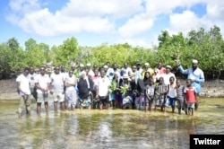 Tim Ilmuwan Riset Rumput Laut dan Konservasi Mangrove (KMFRI ) melatih perwakilan masyarakat pesisir di Lamu, Pulau Faza, Kenya. (Twitter/@KmfriResearch)(Twitter/@KmfriResearch)