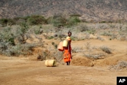 FILE - A Samburu woman fetches water during a drought in Loolkuniyani Primary School, Samburu county, Kenya on Oct. 16, 2022.