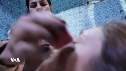 Keçeke Êzdî Bi Karê Ciwankarî û Dirûnê Bala Xelkê Dikşîne
