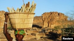 UpFront: Celebrating Black Women in Food, Ghana Agriculture Crowdfunding