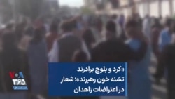 «کرد و بلوچ برادرند تشنه خون رهبرند»؛ شعار در اعتراضات زاهدان