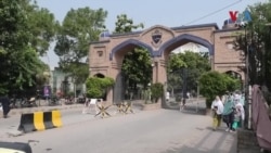 د ملګرو ملتونو له خوا ورکړی شوؤ شمېرو کې ويلی شوي په ټوله نړۍ کې دا وخت څه يو ارب او ديرش کروړه پورې ځوانان دي