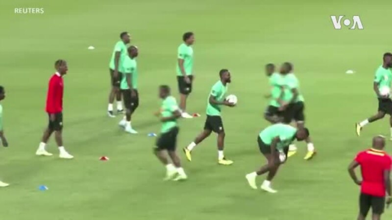 Mondial : malgré son passé glorieux, les attentes sont mesurées pour le Cameroun