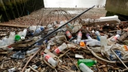 The existential threat of plastic pollution 