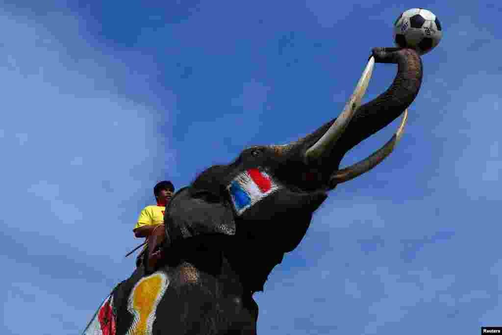 An elephant painted with France&#39;s national flags plays soccer during a soccer match with students in Ayutthaya province, Thailand.