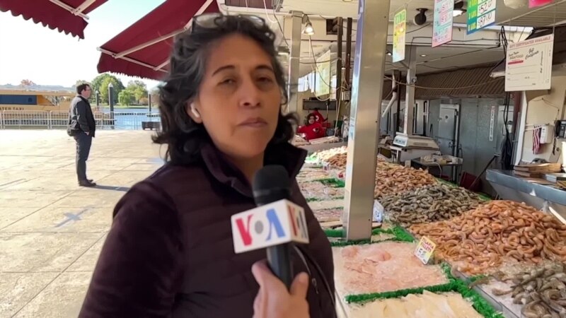 Découverte: le marché de poisson frais au wharf de Washington