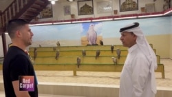 Camels & Falcons - A Look Inside Qatar's Souq Waqif Market
