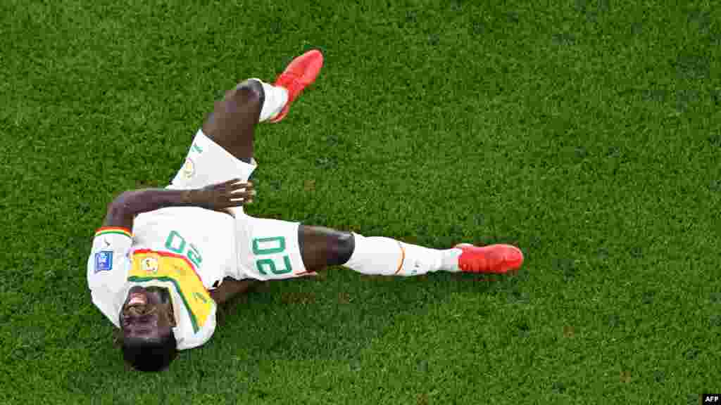 Avançado do Senegal, Bamba Dieng reage no que parece ser uma lesão. Estádio Thumama, em Doha. Mundial do Qatar 2022, 25 de novembro