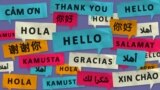 "Hello" and "thank you" in different languages. (VOA)