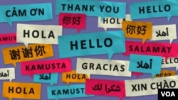 "Hello" and "thank you" in different languages. (VOA)