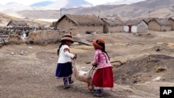 Girls carry a dying sheep, at the Cconchaccota community in the Apurimac region of Peru, Nov. 26, 2022.