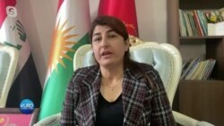 Tara Hisên Êrîşên Tirkîyê yên Ser Axa Îraqê Dinirxîne