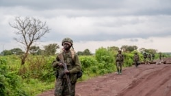 Sango ya Mokili Lelo : Mikolo mineyi sima ba M23 kosakola ete batiki mboka Kibumba bakimi bitumba bazongi naino o bisika bavandaka te. 