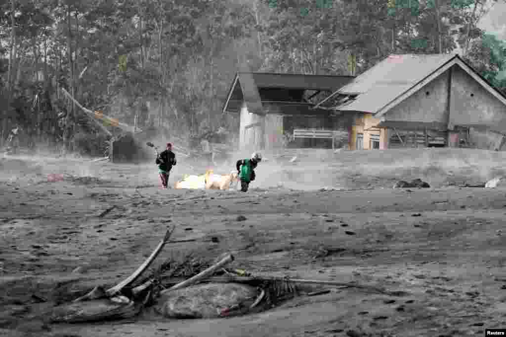 La agencia provincial de búsqueda y rescate en Lumajang, provincia indonesia de Java Oriental, envió equipos a las áreas más afectadas para evaluar los daños. Los aldeanos evacuaron en motocicletas. Algunos alcanzaron a evacuar, también, a sus animales.&nbsp;