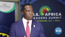 Leaders’ Summit Opening for US-Sierra Leone Bilateral Relations: Foreign Minister