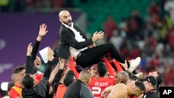 Pelatih kepala Maroko Walid Reragui dilempar ke udara oleh para pemain setelah pertandingan sepak bola perempat final Piala Dunia antara Maroko dan Portugal, di Stadion Al Thumama di Doha, Qatar, Sabtu, 10 Desember 2022. (Foto: AP/Martin Meissner)