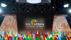 US-Africa Summit an Opportunity to Establish War Crimes Court in Liberia, Rights Campaigner Says