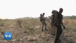 En patrouille avec une brigade anti-braconnage distinguée en Zambie