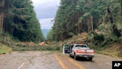 지난 4일 미국 서부 캘리포니아주 트리니다드에서 폭우와 산사태로 도로변 나무가 쓰러졌다.
