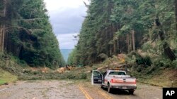 Cuadrillas trabajan en la remoción de varios árboles caídos que bloquean la autopista 101 en el condado de Humboldt, cerca de Trinidad, California, EEUU, el miércoles 4 de enero de 2023.