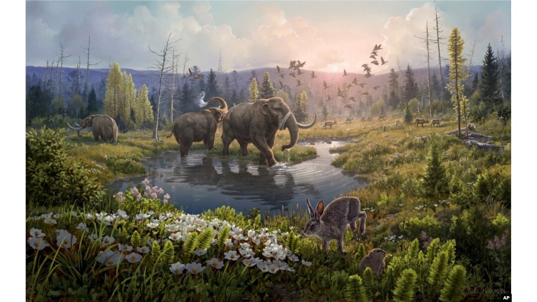 Ilustrasi - Kap Kobenhavn, Greenland, dua juta tahun yang lalu, ketika suhu jauh lebih hangat daripada Greenland paling utara saat ini. (Beth Zaiken via AP)