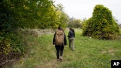 Yale University doctoral students Siria Gamez, right, and Aishwarya Bhandari walk through a field looking for their wildlife camera that had been attached to a tree in a Detroit park on Oct. 7, 2022. (AP Photo/Carlos Osorio)