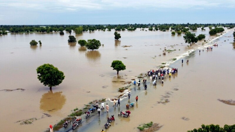 In 2022, AP Photographers Captured Pain of a Changing Planet