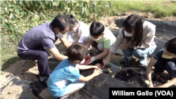 Students at Cheontae Elementary School learn agriculture skills, such as how to tend a garden. September 20, 2022.