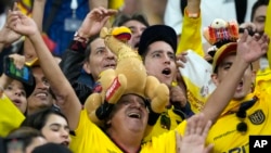 Ecuador's fans sing prior to the World Cup group A soccer match between Netherlands and Ecuador, at the Khalifa International Stadium in Doha, Qatar, Nov. 25, 2022.