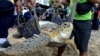 FILES - Sukarelawan membawa penyu hijau (Chelonia mydas), yang diselamatkan dari pemburu dan pedagang, ke laut di pantai Kuta di Bali, 8 Januari 2022. (Foto. Fikri Yusuf/Antara Foto via REUTERS)