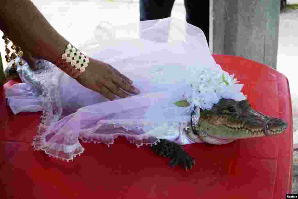 A woman touches a seven-year-old alligator dressed as bride for a traditional ritual marriage between the San Pedro Huamelula Mayor Victor Hugo Sosa and the reptile that depicts a princess, in San Pedro Huamelula, in Oaxaca state, Mexico, June 30, 2022.&nbsp;