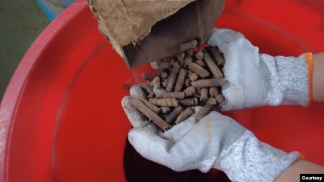 Pelet biomassa yang diproduksi dari sampah atau limbah dalam skema co-firing PLN. (Foto: PLN)