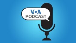 Podcast đặc biệt ngày đầu năm Tết Quý Mão 2023 | VOA