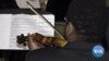 Inner City Youth Orchestra Takes Black Kids Off the Streets