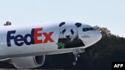 Teretni avion Panda ekspres poleće sa aerodroma Dales u Virdžiniji, 8. novembar 2023. (foto: Jim WATSON / AFP)