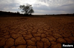 FILE - Cracked earth marks a dried-up watering hole on a farm near Aberdeen in the Karoo in South Africa.