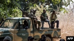 L'armée sénégalaise a annoncé avoir lancé dimanche une opération contre des rebelles de Casamance le long de la frontière nord, avec la Gambie.