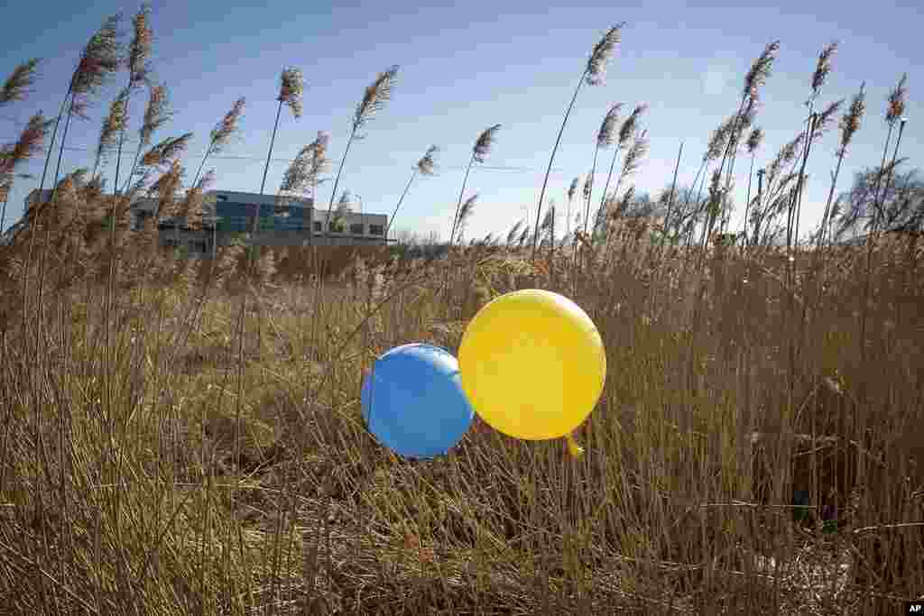 Balloons in colors of the Ukrainian flag are placed in a field at the border crossing in Medyka, southeastern Poland. Thousands of people have been killed and more than 2.3 million have fled the country since Russian troops crossed into Ukraine on February 24.