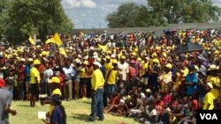 Ibandla leCitizens Coalition for Change linqobe endaweni ezinengi eZimbabwe. (VOA)