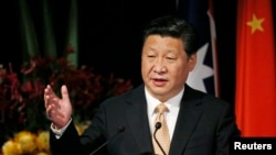 2014年11月19日，中国国家主席习近平在悉尼举行的澳中州和省领导人论坛上发表讲话。