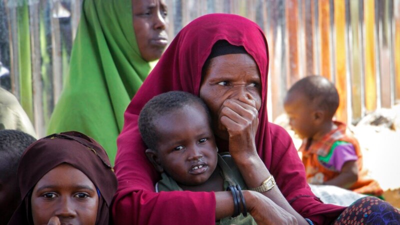 Somalia Drought Sparks Humanitarian, Displacement Crisis