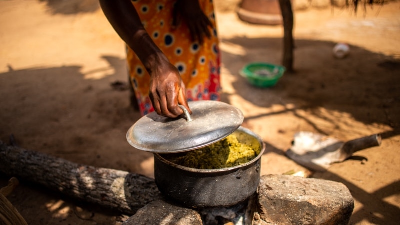 En Centrafrique, des investisseurs parient sur l'agriculture malgré les crises