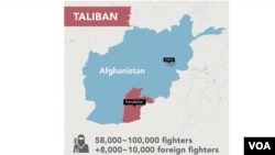 خیال کیږي چې د طالبانو د جګړه مارانو شمېر اوس د اته پنځوس زره او یو لاکهو ترمنځ دی